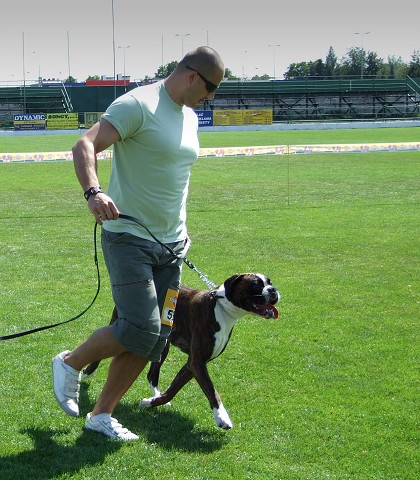www.boxerklub.sk