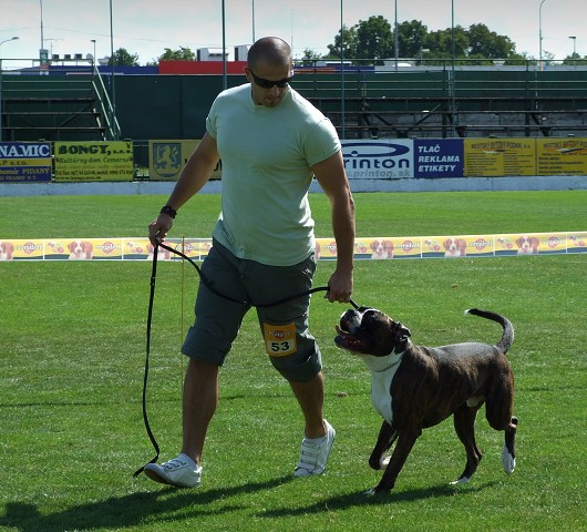 www.boxerklub.sk