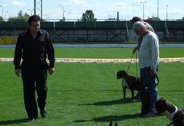 www.boxerklub.sk