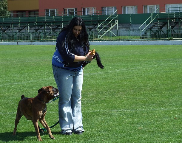 www.boxerklub.sk