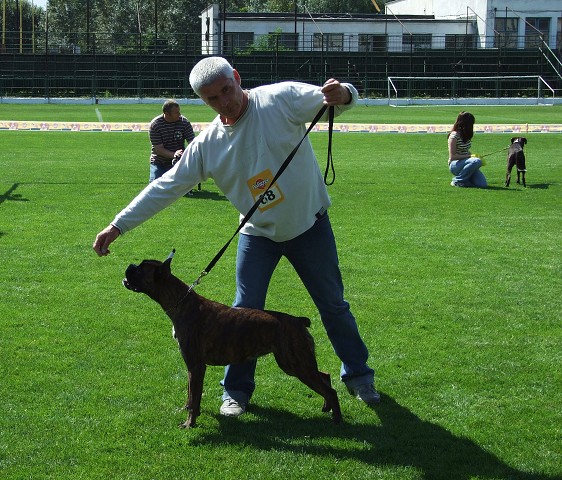 www.boxerklub.sk