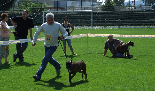 www.boxerklub.sk