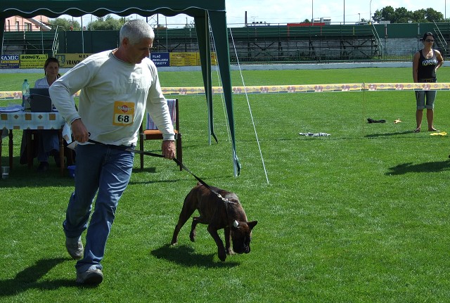 www.boxerklub.sk