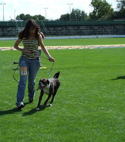 www.boxerklub.sk