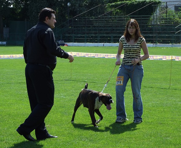 www.boxerklub.sk