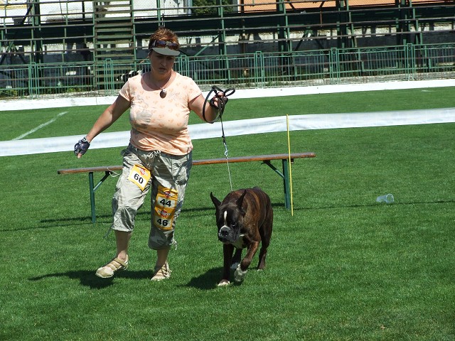 www.boxerklub.sk