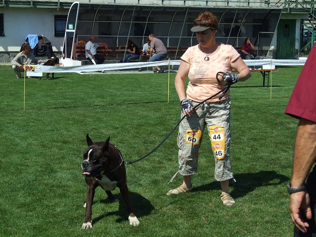 www.boxerklub.sk