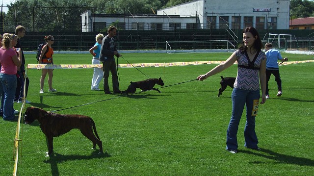 www.boxerklub.sk