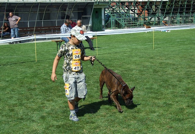 www.boxerklub.sk