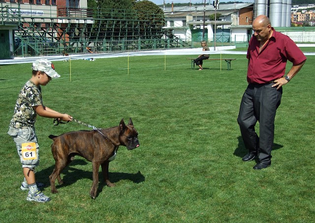 www.boxerklub.sk