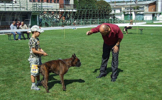 www.boxerklub.sk