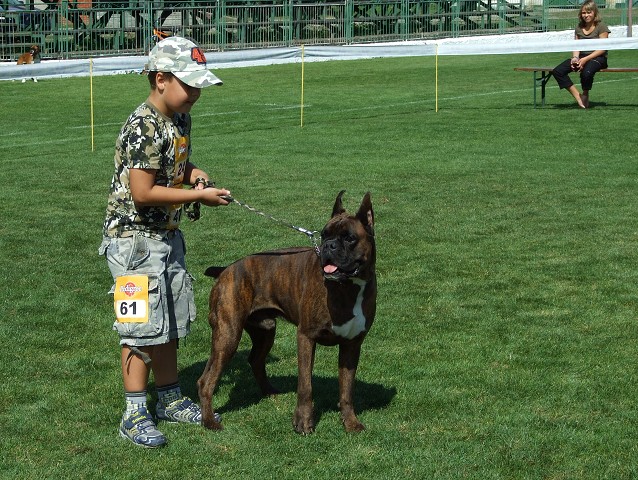 www.boxerklub.sk