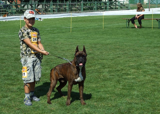 www.boxerklub.sk