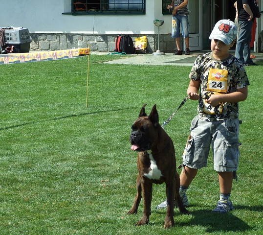 www.boxerklub.sk
