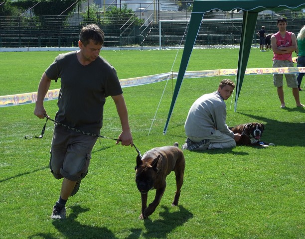 www.boxerklub.sk