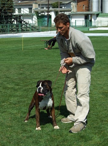 www.boxerklub.sk