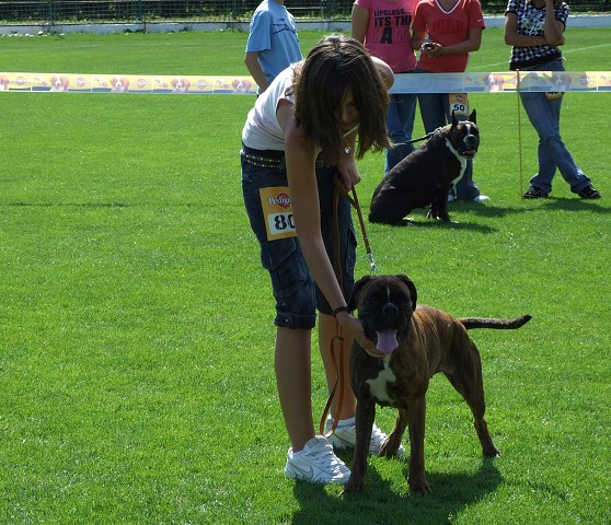 www.boxerklub.sk