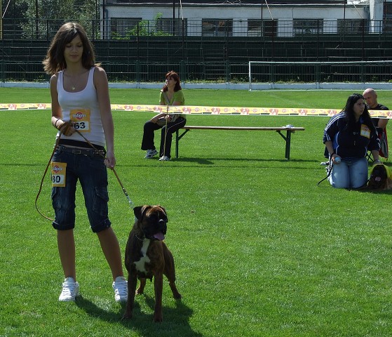 www.boxerklub.sk