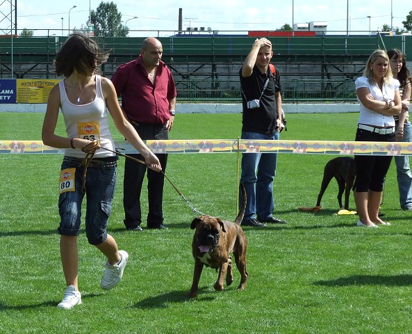 www.boxerklub.sk