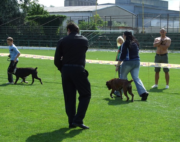 www.boxerklub.sk