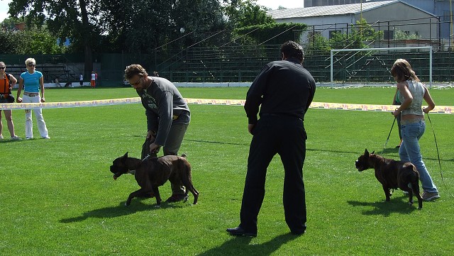 www.boxerklub.sk
