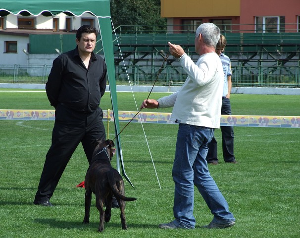www.boxerklub.sk