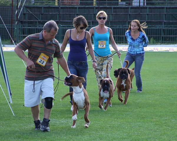 www.boxerklub.sk