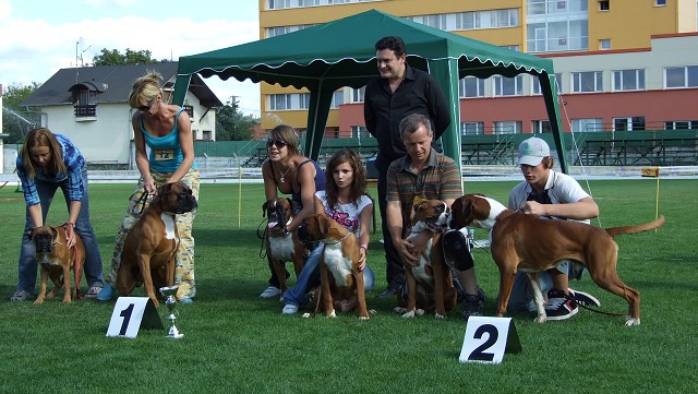 www.boxerklub.sk