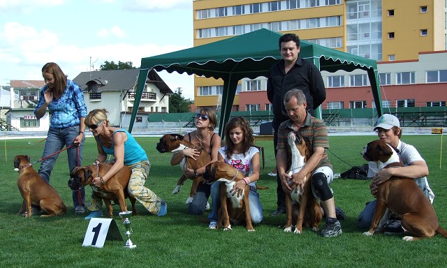 www.boxerklub.sk