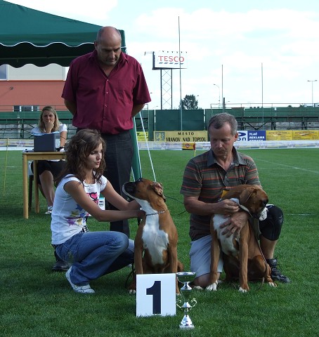 www.boxerklub.sk
