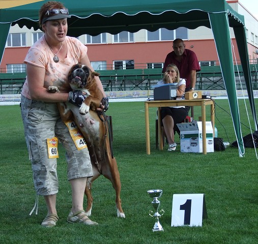 www.boxerklub.sk