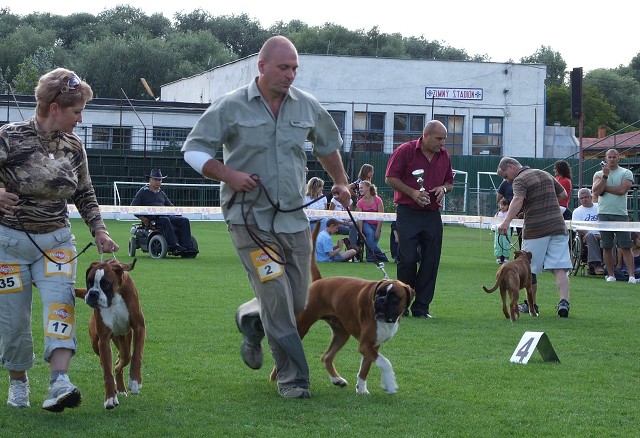 www.boxerklub.sk