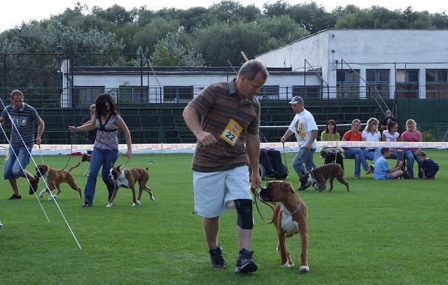www.boxerklub.sk
