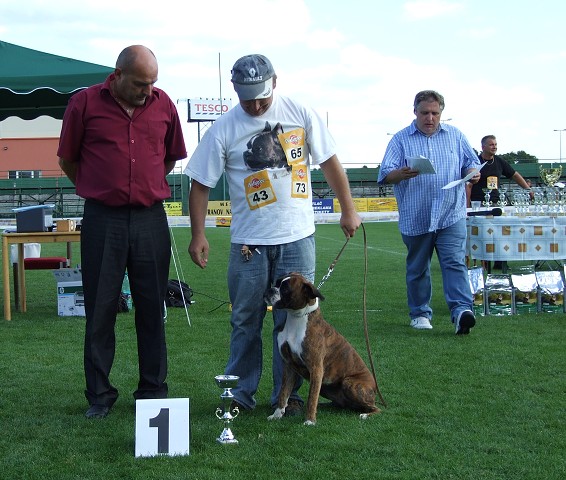 www.boxerklub.sk