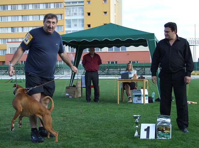 www.boxerklub.sk