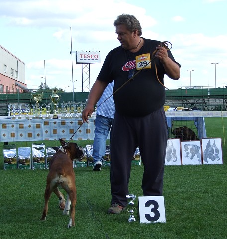 www.boxerklub.sk