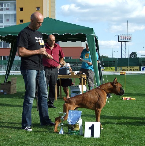www.boxerklub.sk