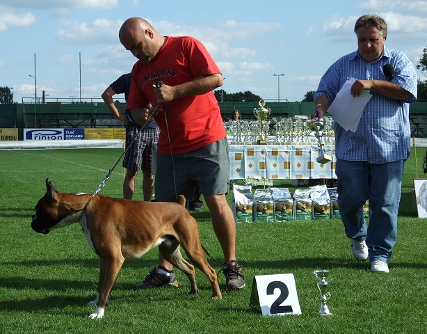 www.boxerklub.sk