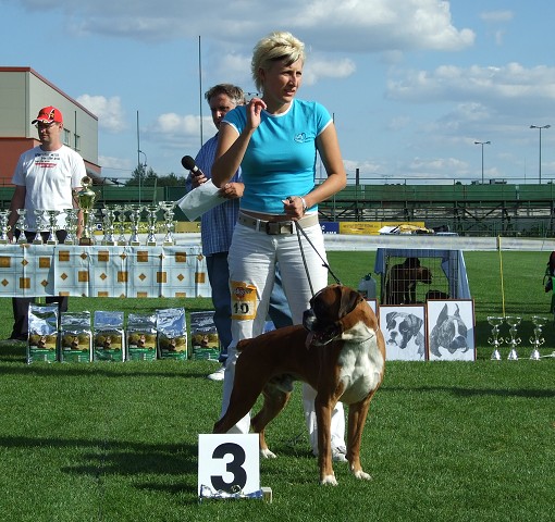 www.boxerklub.sk