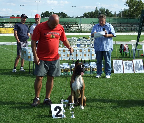 www.boxerklub.sk