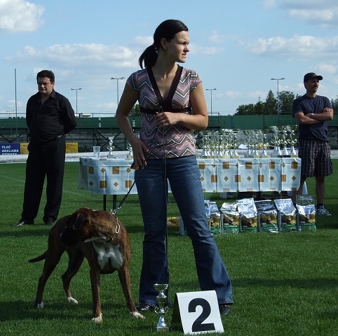 www.boxerklub.sk