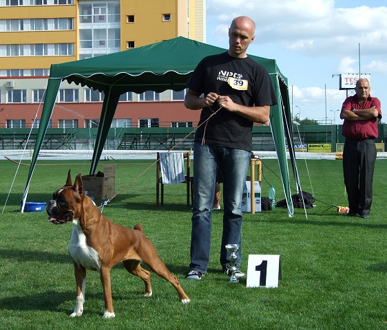 www.boxerklub.sk