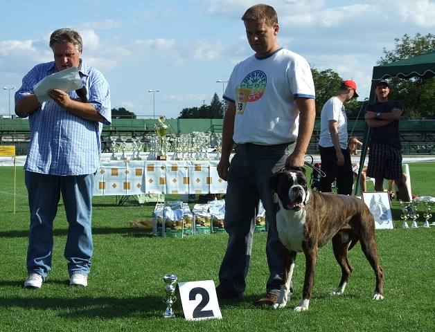 www.boxerklub.sk