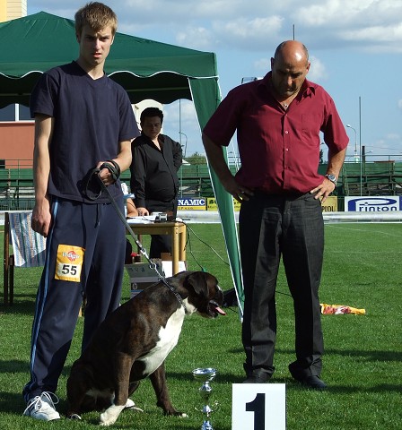 www.boxerklub.sk