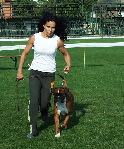 www.boxerklub.sk