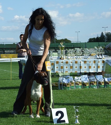 www.boxerklub.sk