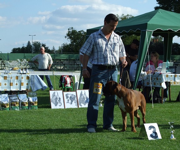 www.boxerklub.sk