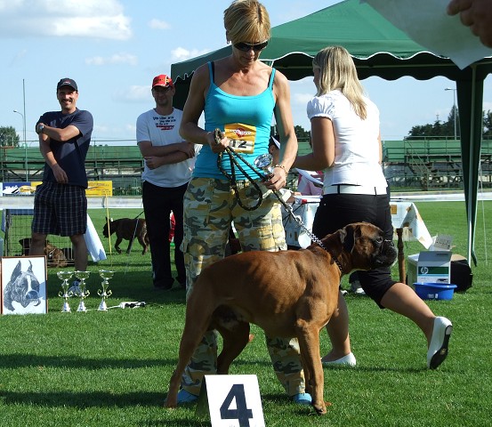 www.boxerklub.sk