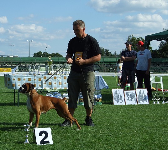 www.boxerklub.sk