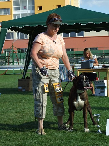 www.boxerklub.sk
